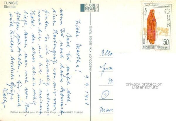 Sbeitla Kamel – Bild 2