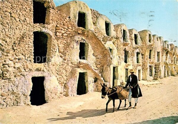 Jerba Esel Ruine