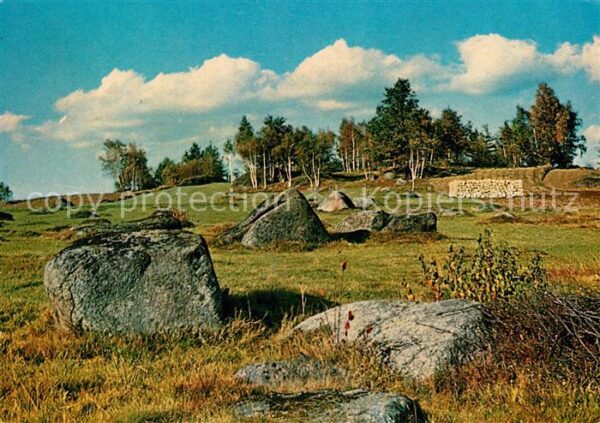 Gmuend Niederoesterreich Blockheide Eibenstein