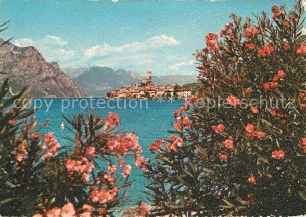 Malcesine Lago di Garda