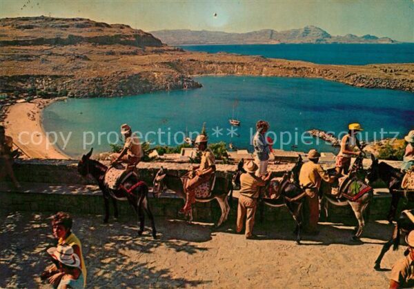 Rhodos Rhodes Aegaeis Lindos Esel