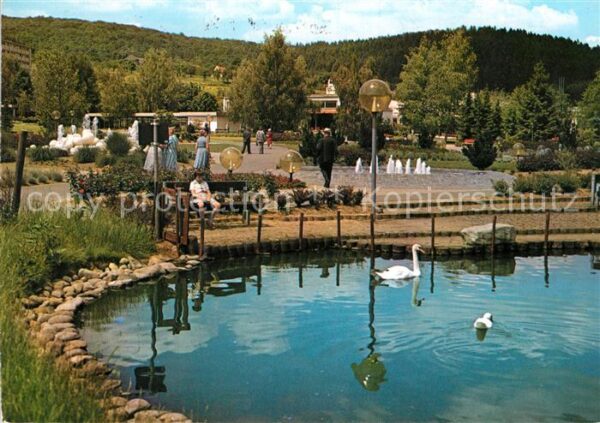 Bad Soden-Salmuenster Wassergarten Schwäne