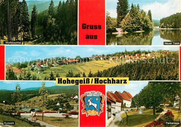 Hohegeiss Harz Wolfsbachtal Kurpark Parkanlage Neuer-T