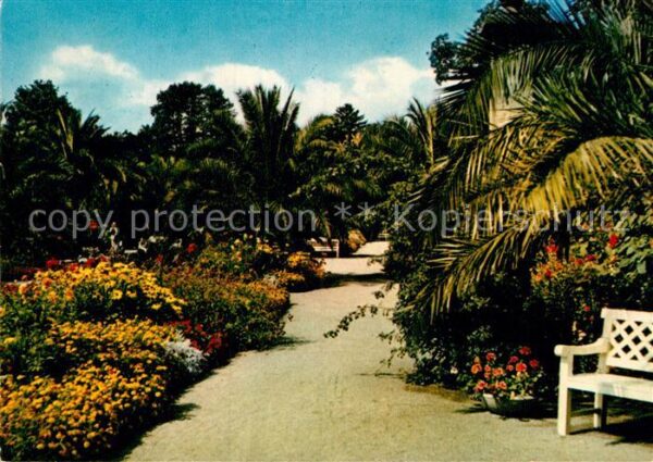Bad Pyrmont Kurpark Palmengarten