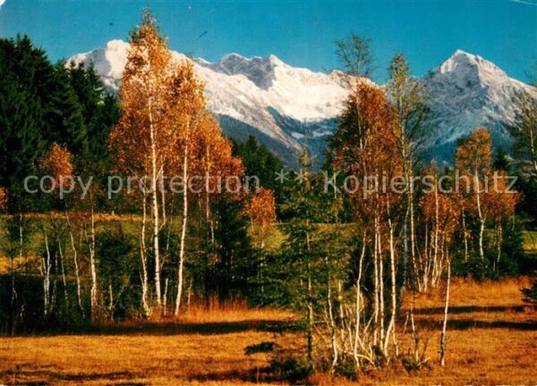 Sonthofen Oberallgaeu Tiefenberger Hochmoor mit Nebelhorn Rub