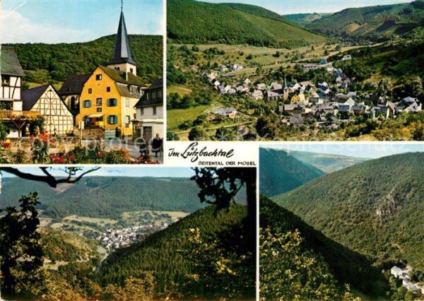 Luetz Luetzbachtal Treis-Karden Fliegeraufnahme Lützbachta