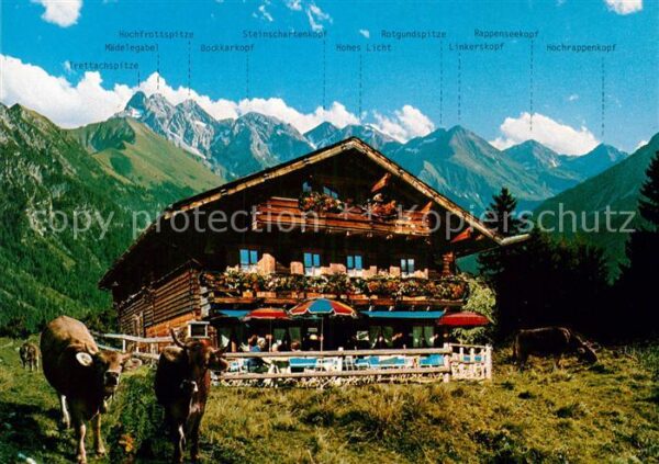 Oberstdorf Berggaststätte Hochleite Kühe