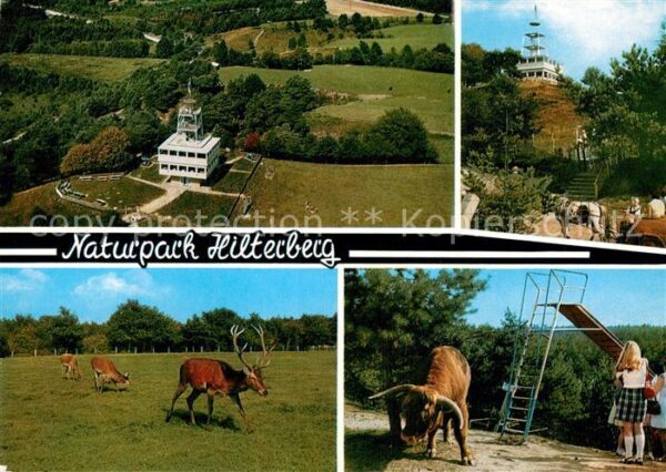 Haren Ems Naturpark Hilterberg Fliegeraufnahme Wi