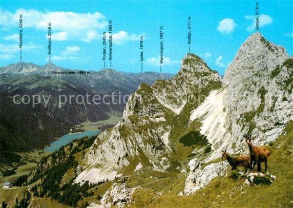 Nesselwaengle Tirol Gimpelhaus Steinböcke Kletterparadies
