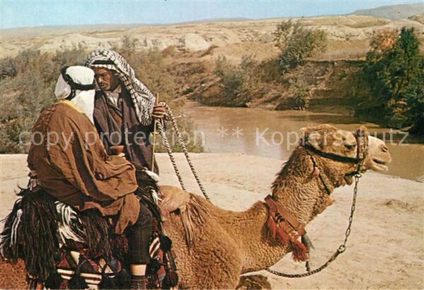 Kamel  Camel Chameau Jordan River