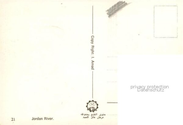 Kamel  Camel Chameau Jordan River – Bild 2