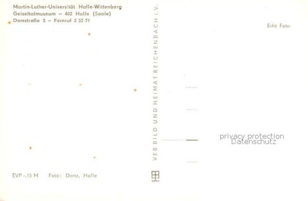 Schlangen Tiere Braunkohle Geiseltal – Bild 2