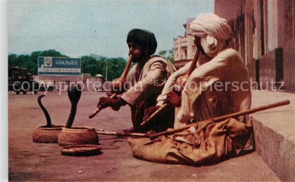 Schlangen Tiere Snake Charmer Karachi Pakistan