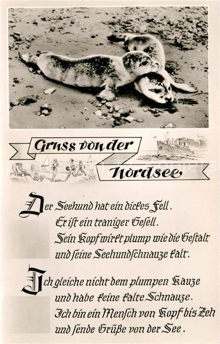 Seehunde Robben Nordsee Langeoog Gedicht