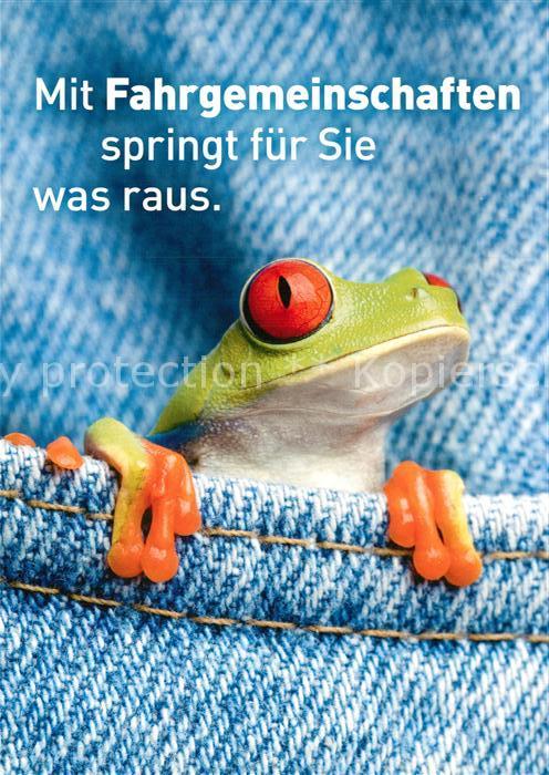 Froesche Werbung Mitfahrgelegenheit Sachsen