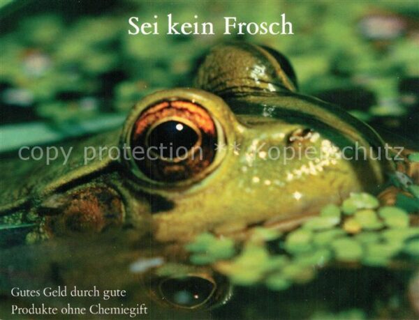 Froesche Werbung Konsumentennetzwerk