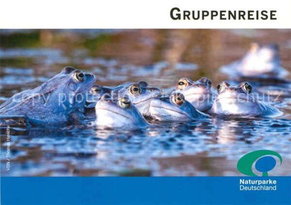 Froesche Werbung Gruppenreise Naturparke Deutsch