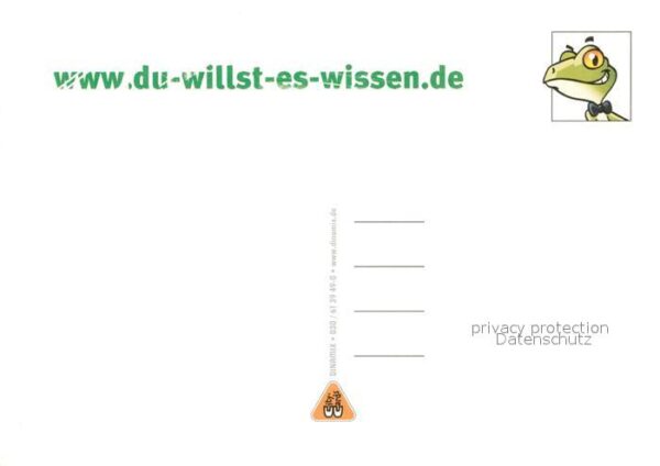 Vermenschlicht Frosch Werbung Dinamix – Bild 2