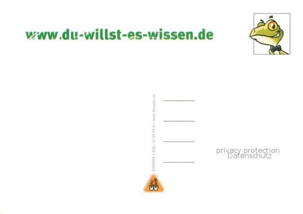 Vermenschlicht Frosch Werbung Dinamix – Bild 2