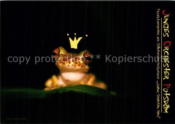 Froesche Der Froschkönig Junges Orchester Potsda