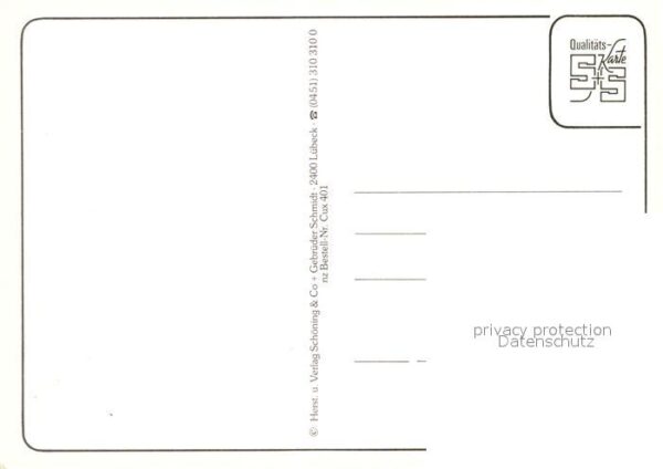 Storch Störche Hadelner Land – Bild 2