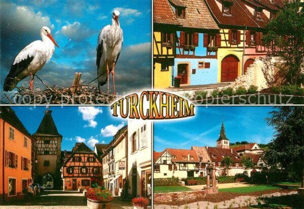 Storch Alsace Turckheim Rue de la Grenouillere