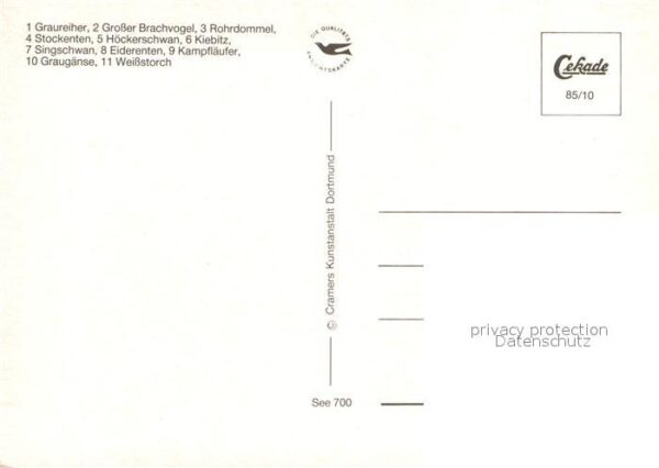 Voegel Graureiher Rohrdommel Stockenten Kiebit – Bild 2