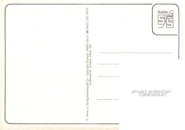 Storch Schleswig-Holstein – Bild 2