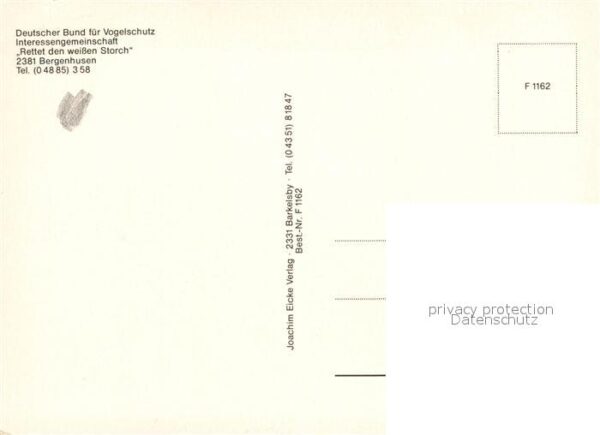 Storch Störche Bergenhusen – Bild 2