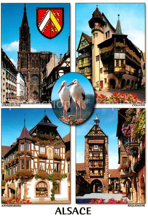 Storch Alsace Strasbourg Colmar Kaysersberg Ri