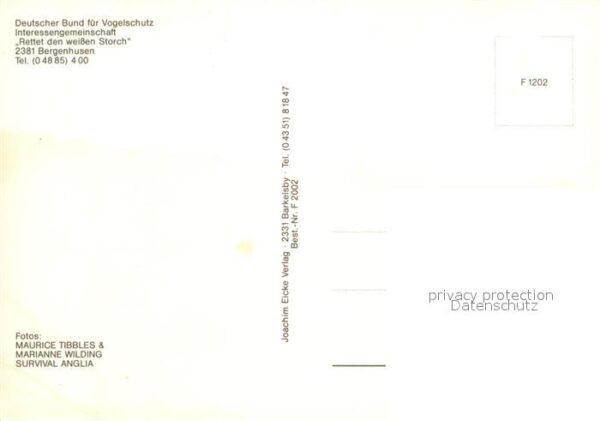 Storch Bergenhusen – Bild 2