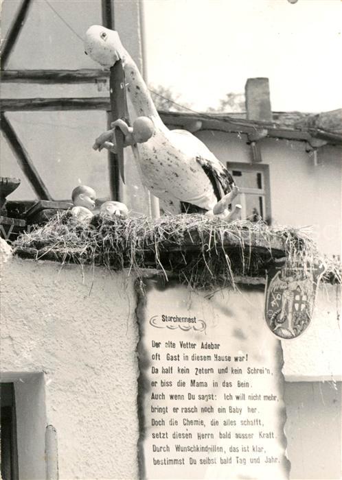 Storch Storchennest Baby