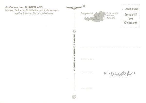 Storch Burgenland Pussta Schilfhütte Ziehbrunn – Bild 2