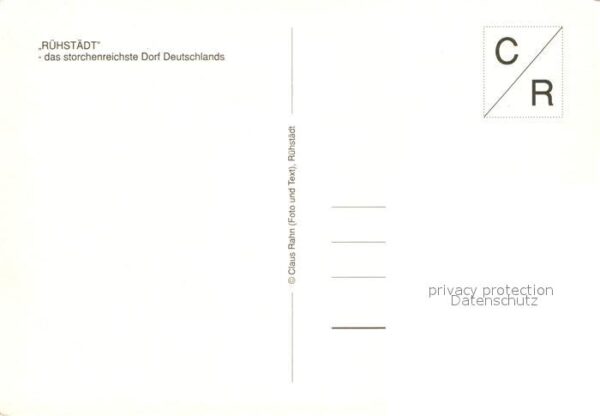 Storch Rühstädt – Bild 2