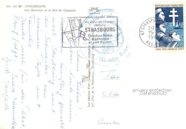 Storch Strasbourg Nid de Cigognes – Bild 2