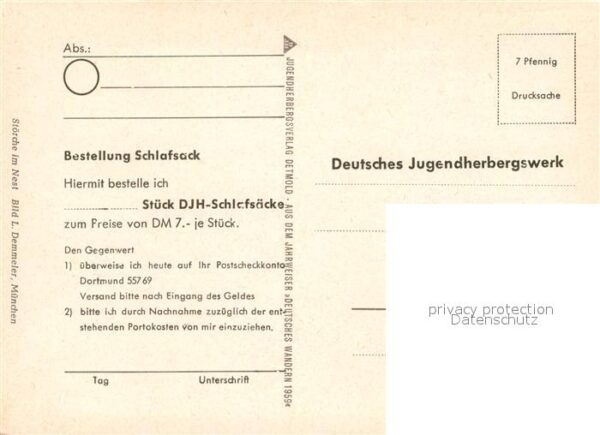 Storch Storchennest Deutsches Jugendherbergswe – Bild 2