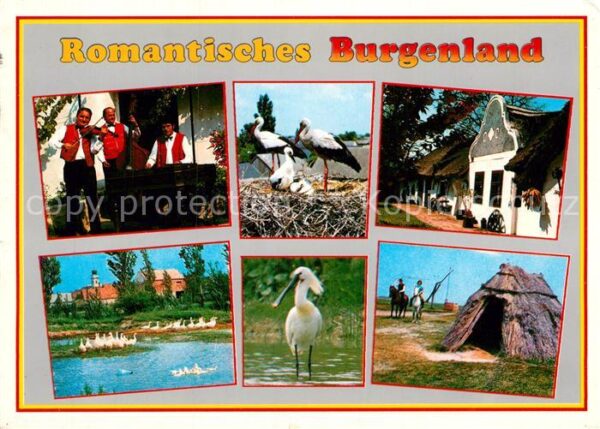 Storch Burgenland Zigeunerkapelle Barockgiebel