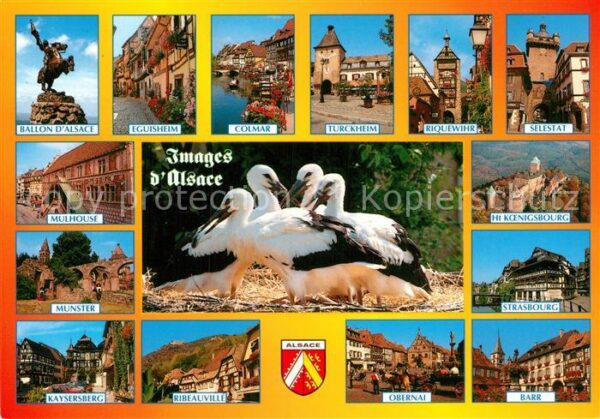 Storch Alsace Mulhouse Ribeauville Barr Selest