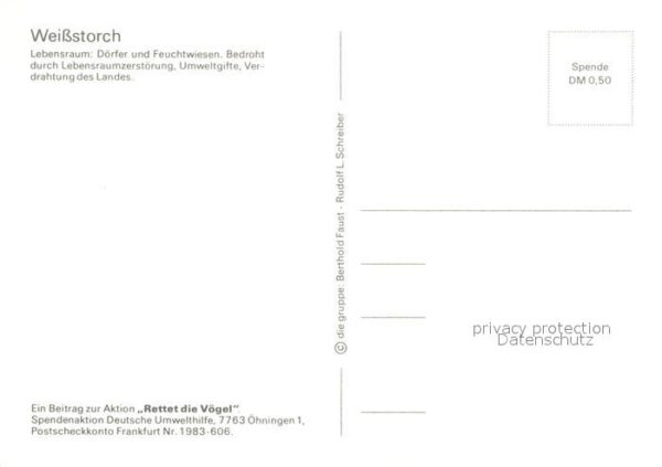 Storch Weissstorch – Bild 2