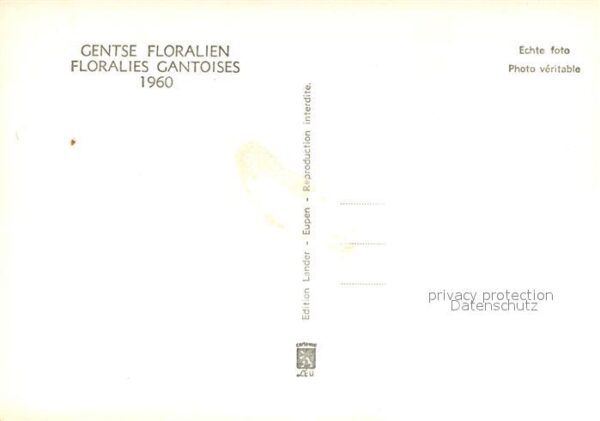 Blumen Gentse Floralien – Bild 2