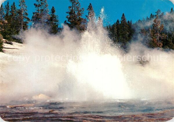 Geysire Vulcans Geysers Vulkane Echinus Geyser Yellowstone National Par
