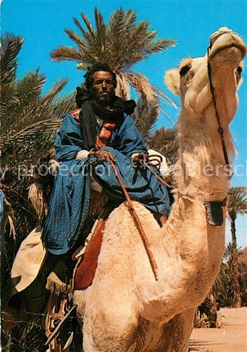 Kamel  Camel Chameau Marokko Rgibat Wüstenreiter