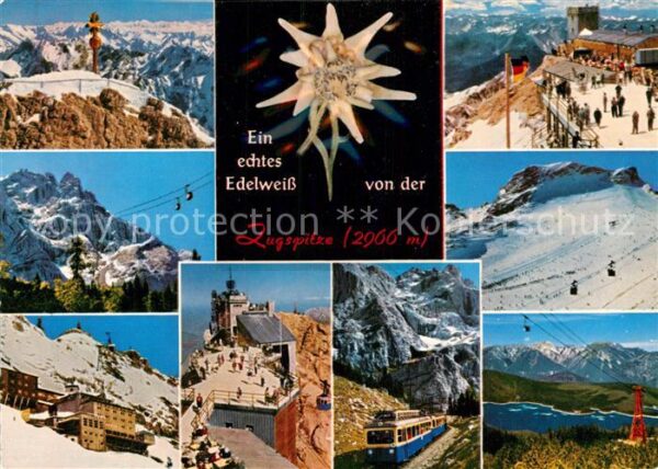 Edelweiss Zugspitze