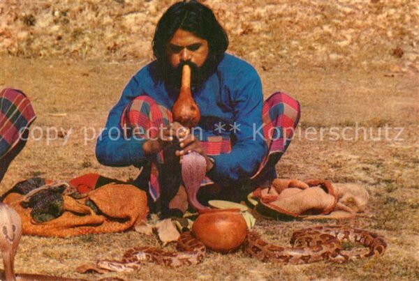 Schlangen Tiere Snake Charmer Schlangenbeschwörer