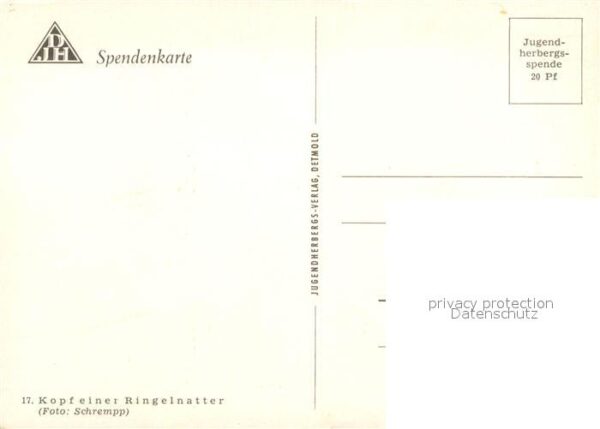 Schlangen Tiere Ringelnatter – Bild 2