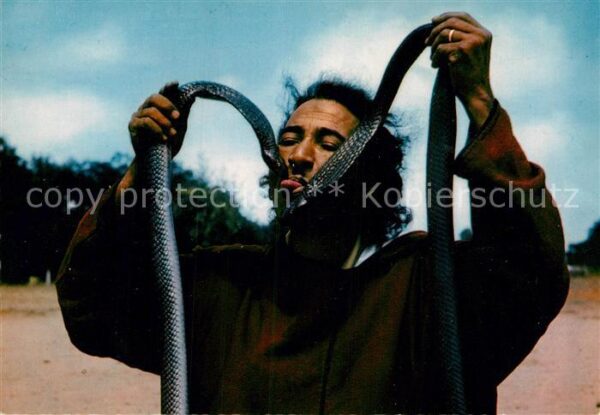 Schlangen Tiere Charmeur de Serpents Maroc Schlangenbes