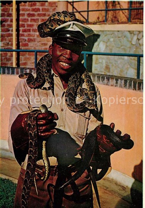 Schlangen Tiere Attendant with Snakes Port Elizabeth So