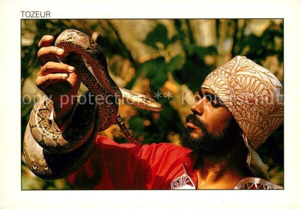 Schlangen Tiere Tozeur Charmeur de Python