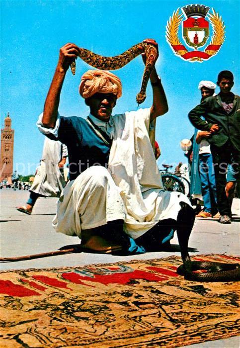 Schlangen Tiere Charmeurs de Serpents Marrakech