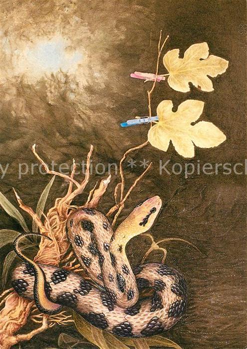 Schlangen Tiere Ausstellung Paradies Jolka Casmina Berl